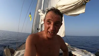 Штиль, тунец и полный писец!