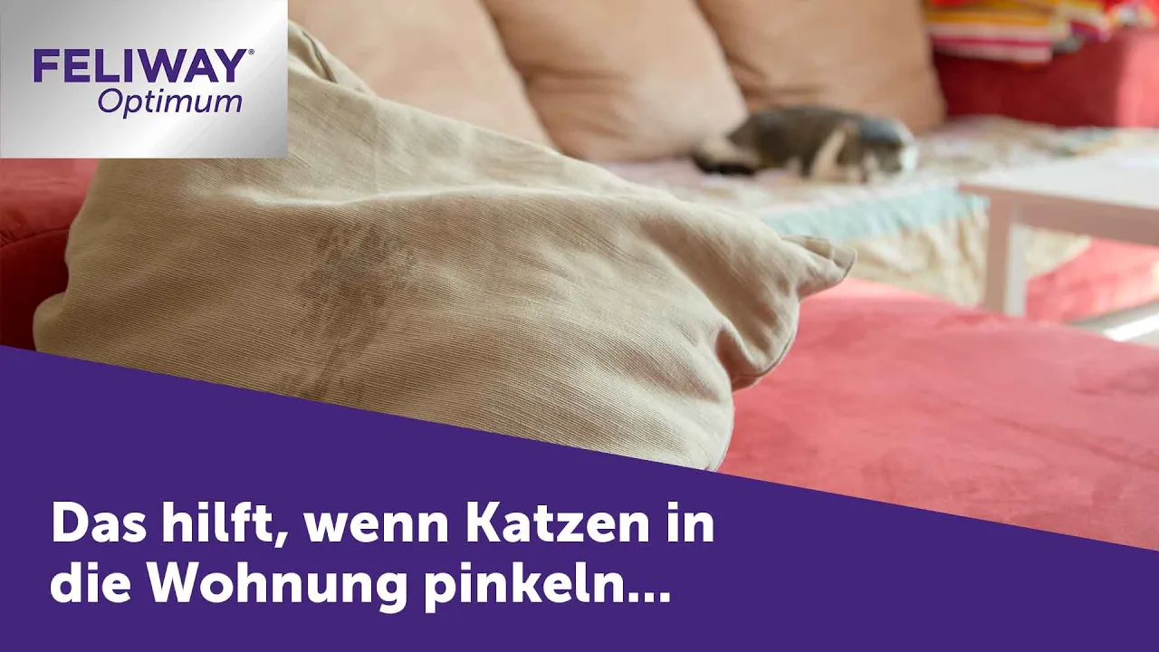 FELIWAY Katzen — FELIWAY Optimum — Happy Family (YouTube video ad)
