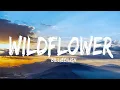 Lagu @BillieEilish‬ - WILDFLOWER (Lyrics)