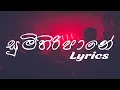 Download Lagu Sumihiri Pane | සුමිහිරි පානේ | Lyrical Video  | Desmond De Silva \u0026 Sunil Perera