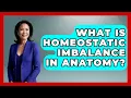 What Is Homeostatic Imbalance In Anatomy All About Anatomy Answers News