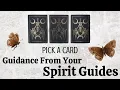 Download Lagu PICK A CARD 🔮 Guidance From Your Spirit Guides 🧚🏼 