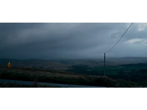 C A N A R I E S    Trailer