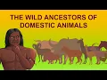 Download Lagu The Wild Ancestors of Domestic Animals | Origin of Farm Animals | Animals Before Domestication