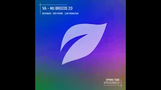 ben pierre shima original mix 