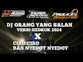 DJ ORANG YANG SALAH X Ciro Ciro Party 2024 !!!!