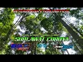 Lagu Sholawat Corona - DJ TERBANGAN X KOPLO OFFICIAL||bass glerrr