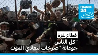  كل الناس جوعانة     صرخات سكان غزة تتعالى لتفادي الموت بسبب المجاعة دندنها