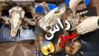 إبطال سحر فتاة يتجدد لها أكثر من ١٥ مره البنت المسحورة تعاني من صداع الراس والسحر يودي الي الموت دندنها