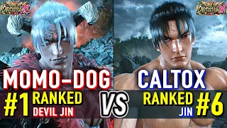 T8 MOMO-DOG Ranked Devil Jin vs CALTOX Ranked Jin Tekken 8 High Level Gameplay
