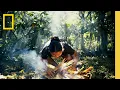 Travel to Costa Rica Experience Pura Vida National Geographic