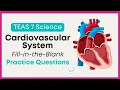 19 TEAS Science Practice Questions Cardiovascular System TEAS 7
