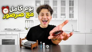عشت يوم كامل 24 ساعة مع صرصور !🪳