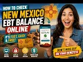 How to check New Mexico EBT balance online