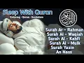Download Lagu MUROTTAL MERDU PENGANTAR TIDUR,AYAT KURSI, ALWAQIAH,ALMULK,AR RAHMAN,YASIN,BY:Alaa Aqel