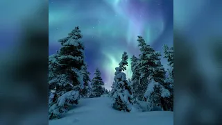 ASHREVEAL MANASHA OVER SLOWED 1 HOUR PHONK BRASILEÑO 2025 фанк 