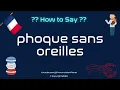 How to Pronounce Phoque Sans Oreilles CORRECTLY Pronunciation Planet