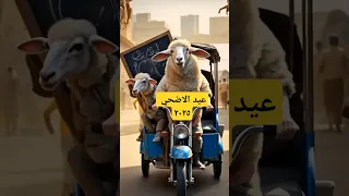 أنشودة خروف العيد الخروف بيغني من قلبه قبل ما العيد ييجي 