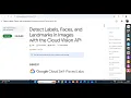 Detect Labels Faces and Landmarks in Images with the Cloud Vision API Lab Solution