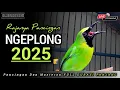 Download Lagu MASTERAN CUCAK IJO GACOR EMOSI TAJAM, TERBUKTI ATASI IJO DIAM LANGSUNG BONGKAR ISIAN