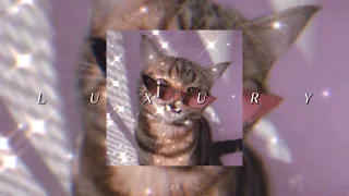luxurious x super freaky girl f r eeeeee a k tiktok mashup slowed version 