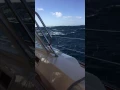 Island Packet 485 in a gale