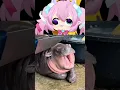 Download Lagu NOO!! MOO DENG!! 😭 #shorts #chibidoki #vtuber #moodeng