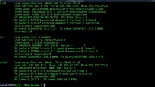 Setup a Webserver with Python Linux Tutorials clip20