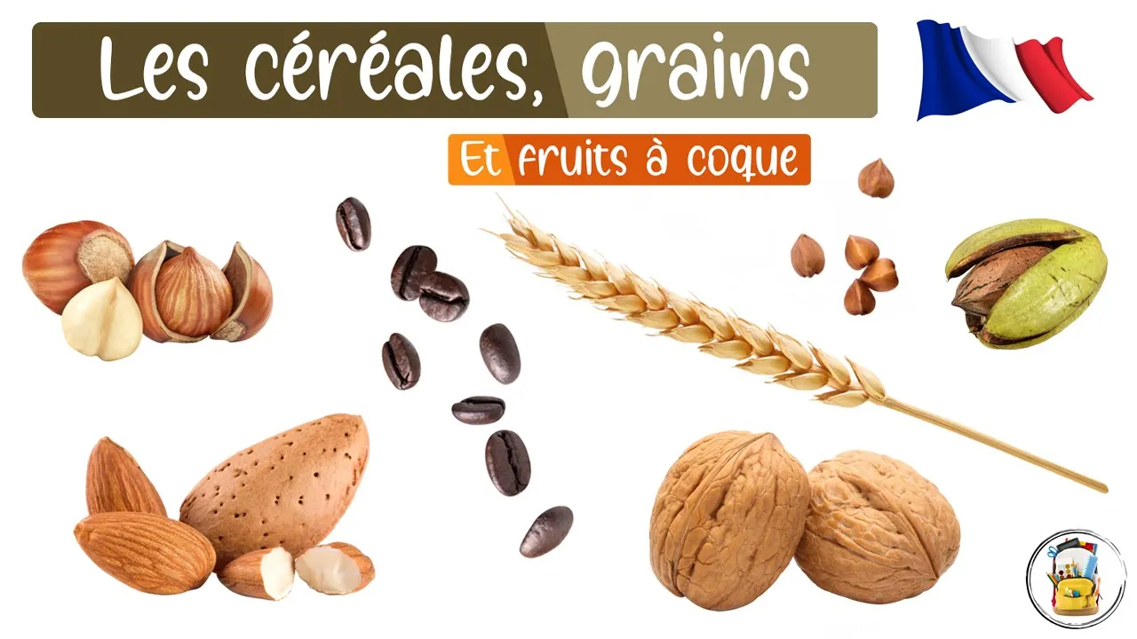 Les Céréales, Les Noix Et Les Graines En Français Pour Les Enfants - Vocabulaire Français En Images