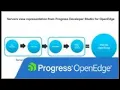 Servers view representation from Progress Developer Studio for OpenEdge