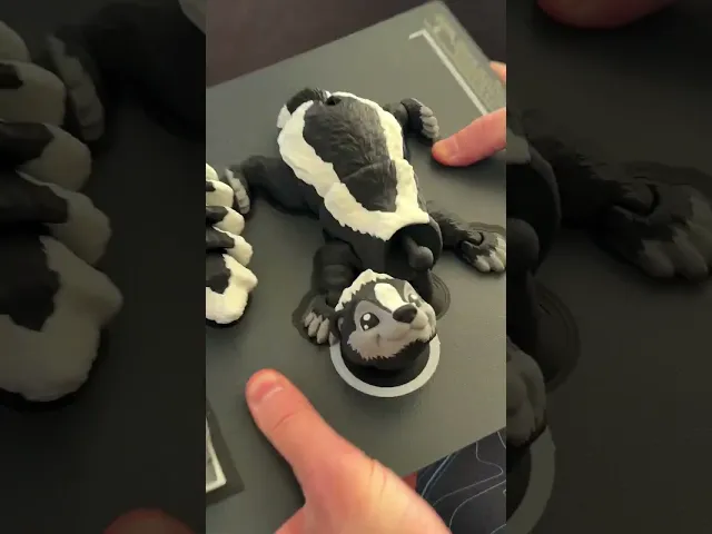 Skunk - Articulated Figure video thumbnail