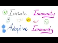Innate Immunity vs Adaptive Immunity - Complement System