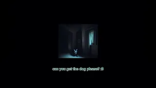 Jack Stauber Can You Get The Dog Please Leaked  Jack Stauber Can You Get The Dog Please Leaked