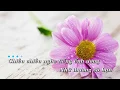 Download Lagu Karaoke Tiếng Ếnh Ương Buồn