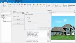 DevExpress Dashboards Binding Images