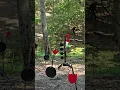 Nighthawk Custom Vs Shooting Tree