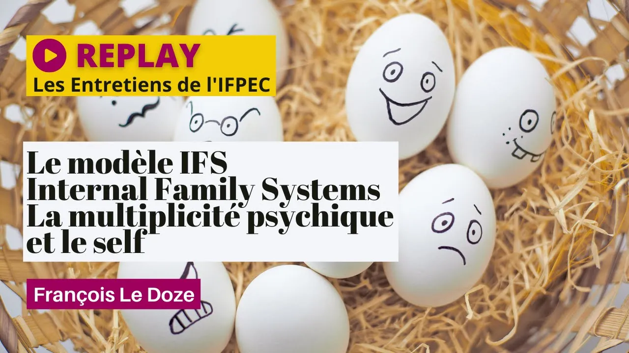 François Le Doze, le modèle IFS