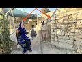 Download Lagu Completing the Exit Wall: A Nomadic Lady's Smile and Master Builder's Skills