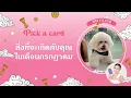 Download Lagu Pick  a  card สิ่งที่จะเกิดกับคุณในเดือนกรกฎาคม (การงาน การเงิน ความรัก สุขภาพ )