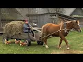 Lagu Country Life With Horse Cart | Farm Chores, Animals \u0026 Traditional Cooking