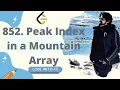 852 Peak Index in a Mountain Array - Binary Search 100 Faster Java DSA CODE WITH ME