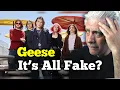 Did Geese REALLY Game The System
