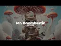 Download Lagu DJ Louis - Mr. Boombastic