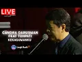 Download Lagu CANDRA DARUSMAN FEAT TOHPATI - KEKAGUMANKU | LIVE AT FOREVER MUSIC