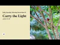 Carry the Light - Daily Devotional