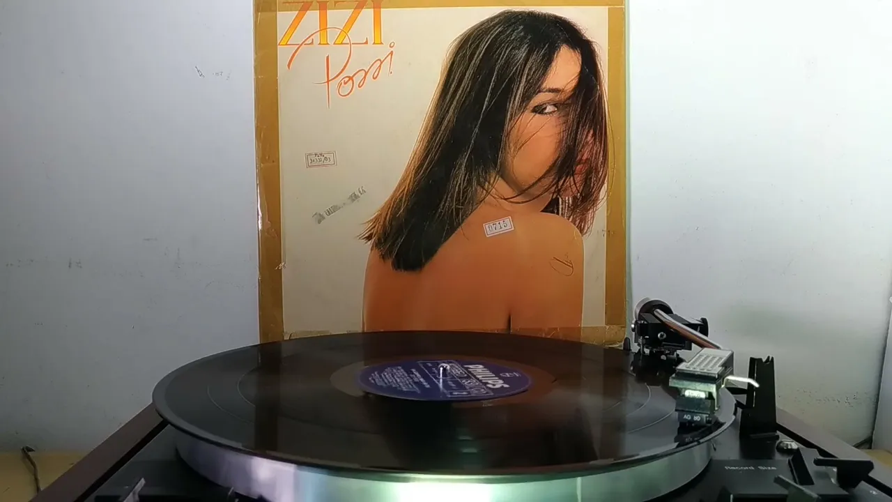 ZIZI POSSI - Música TODA UMA HISTÓRIA