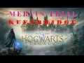 Keenbridge Merlin Trial Hogwarts Legacy PS5