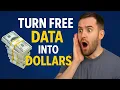 Turn Free Data into Dollars Web Scraping AI for Beginners
