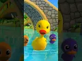Download Lagu Lima Bebek Kecil musik prasekolah #shorts #fun #trends #songforkids