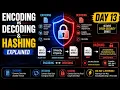 Day 13 Encoding vs Decoding vs Hashing Explained Cyber Security Basics